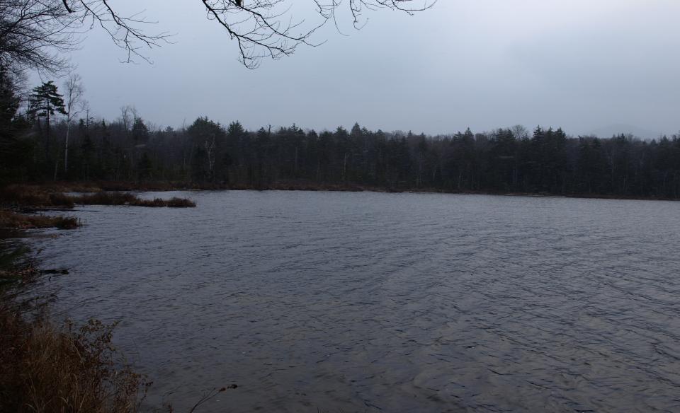 A pond on a dark day