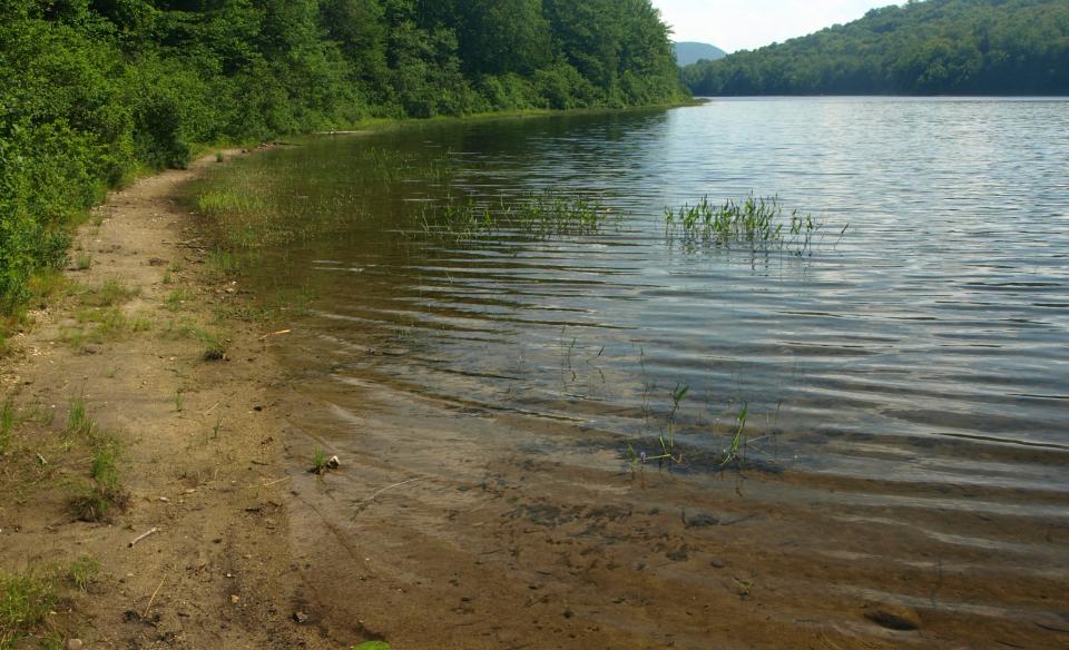 Gilman Lake has plenty of weeds and lilies for the best bass fishing.