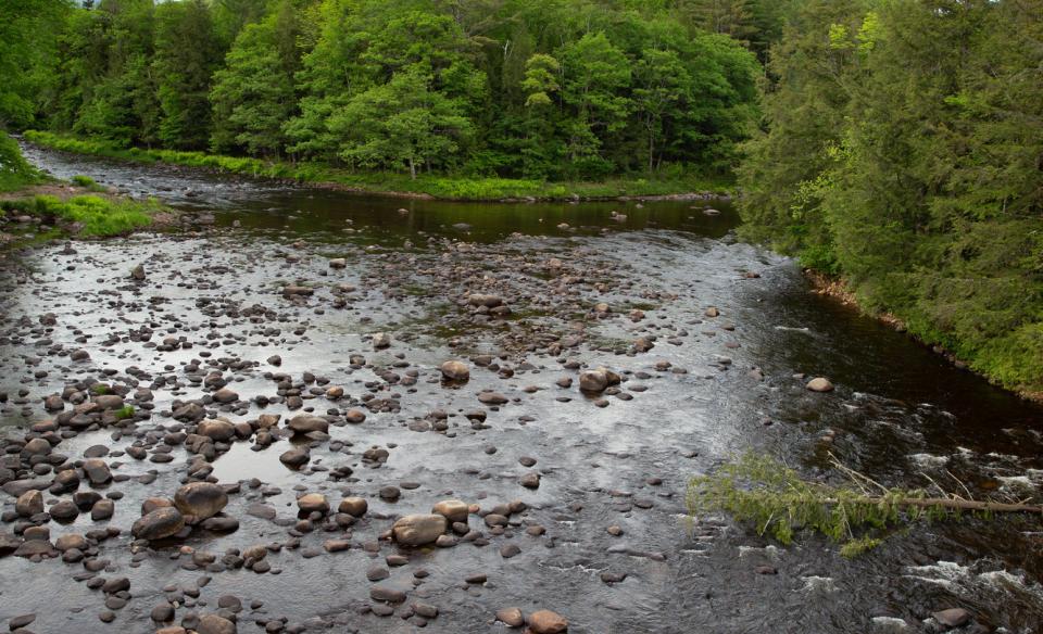 The view of a shallow