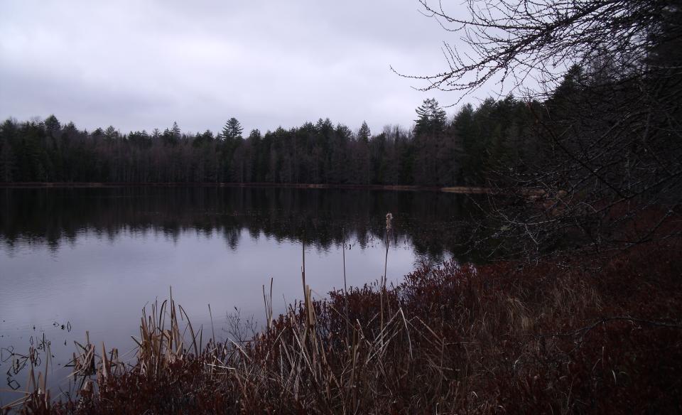 Paths to the shore access the pond.