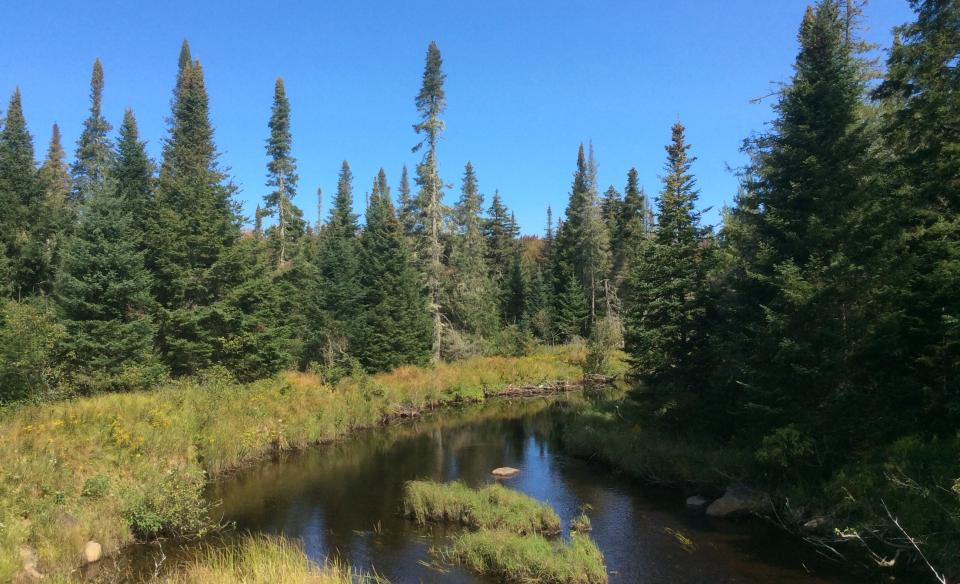 from wide calm waters to short