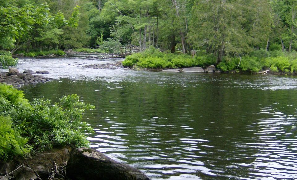 Fishing Brook varies