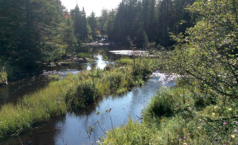 Fishing Brook | Experience Our Adirondacks