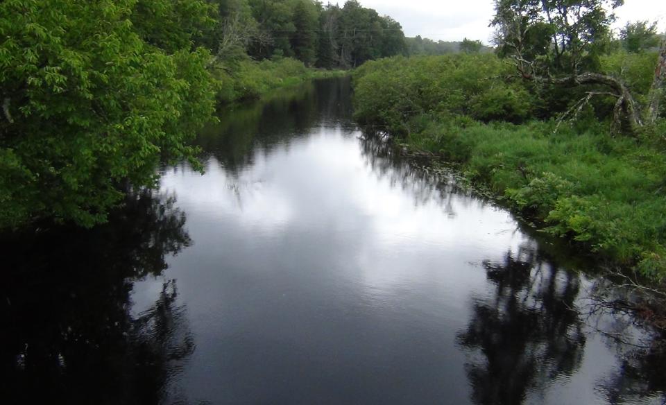 From Rich Lake there are many outlets that joins it to the Hudson