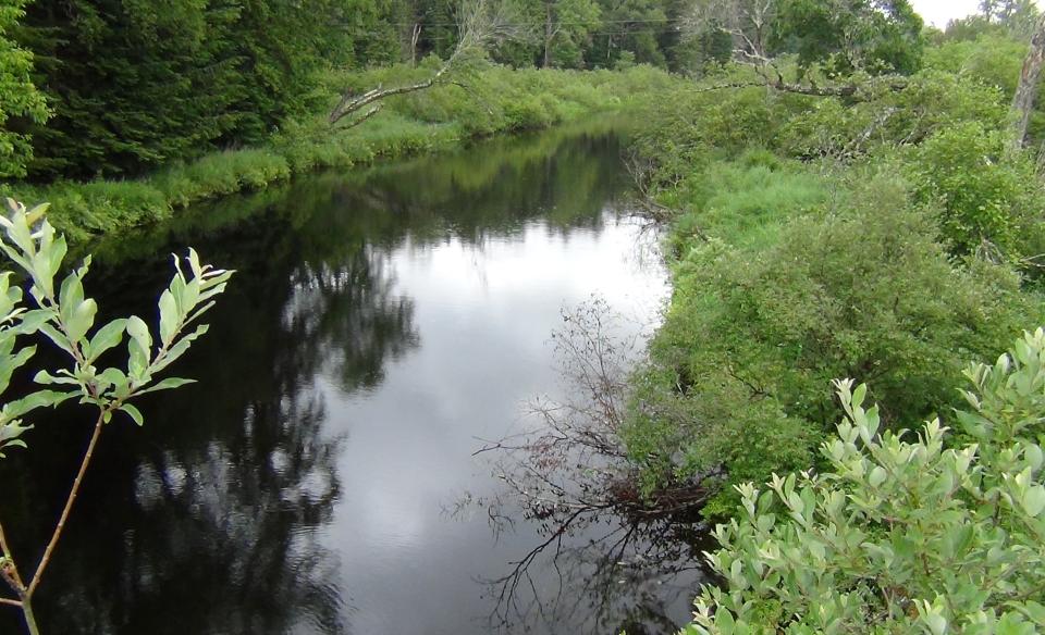 The shore of some camps highlight the shore and islands.