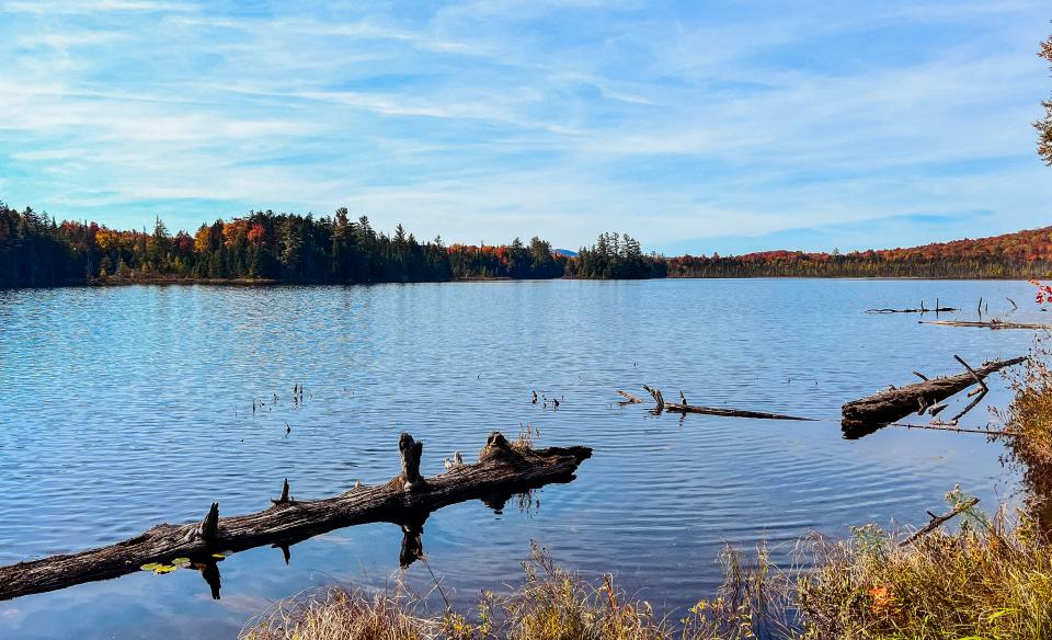Mud Pond