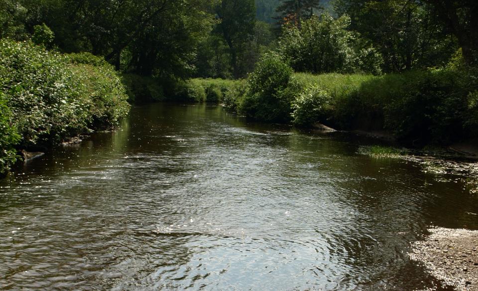 The Jessup River has shoreline access.