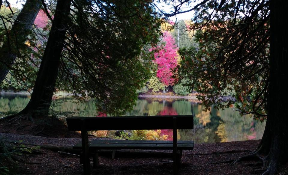 A wonderful destination in the fall for foliage fans.