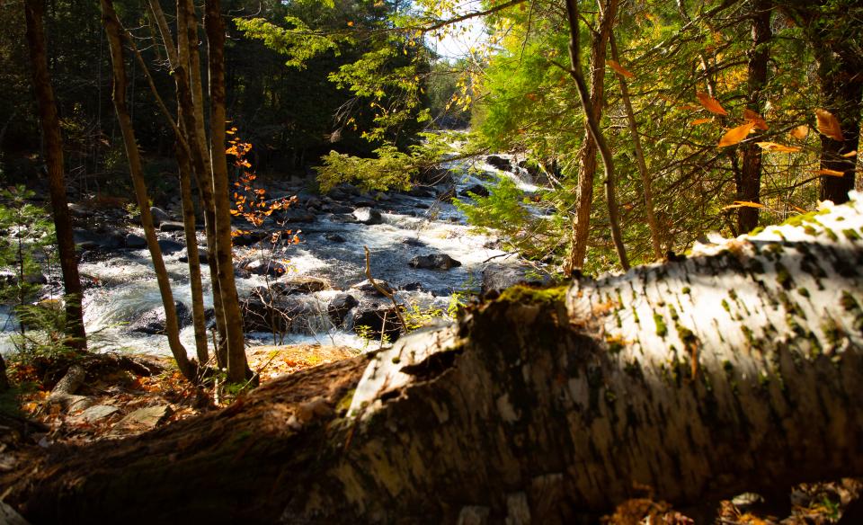 Rich Lake was once an important link in the logging industry.