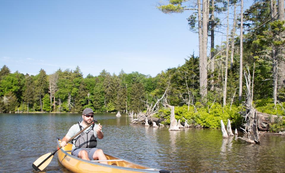 Pond hop to your heart's content in the St. Regis Wilderness Canoe Area.