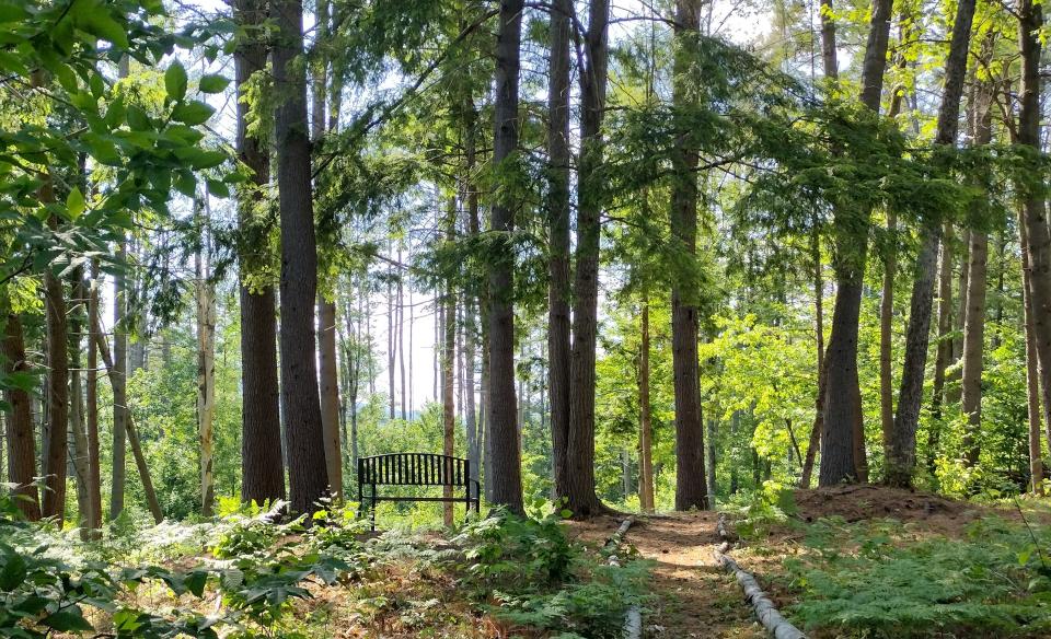 A nice trail at Hope Center Trails.