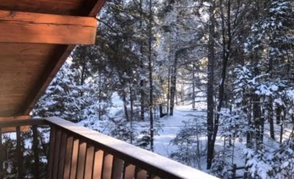 A winter scene of the view of the treed property blanketed in snow.